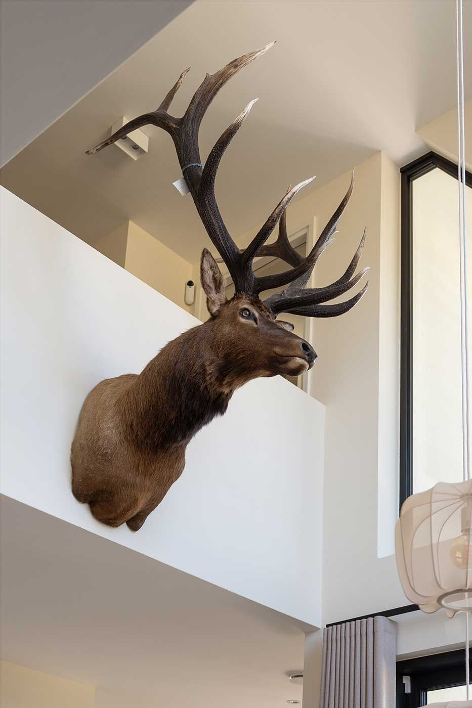 wessels wonen interieuradvies ten brinke 00008 f6a92602 Wessels Wonen